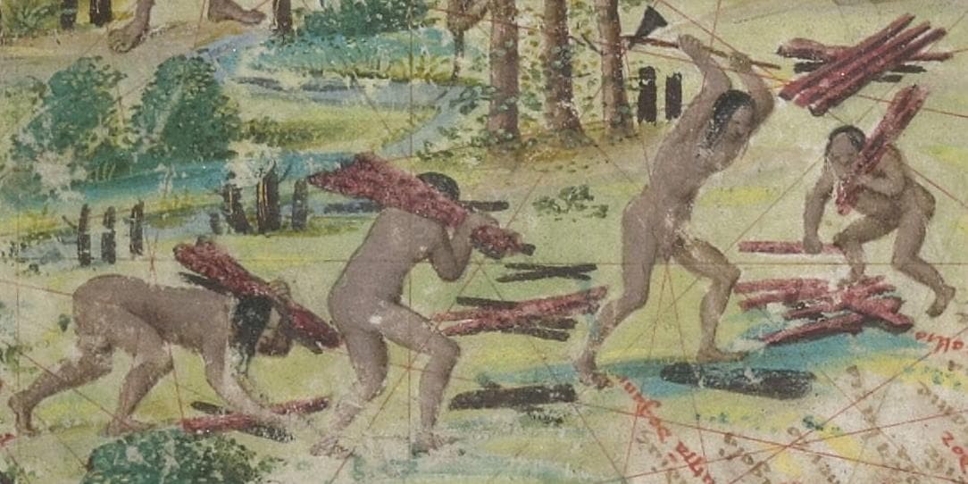 Terra Brasilis: a extração do pau-brasil · Unsigned. Attributed to Lopo Homen, Pedro Reinel, Jorge Reinel and Antonio de Holanda. · circa 1519