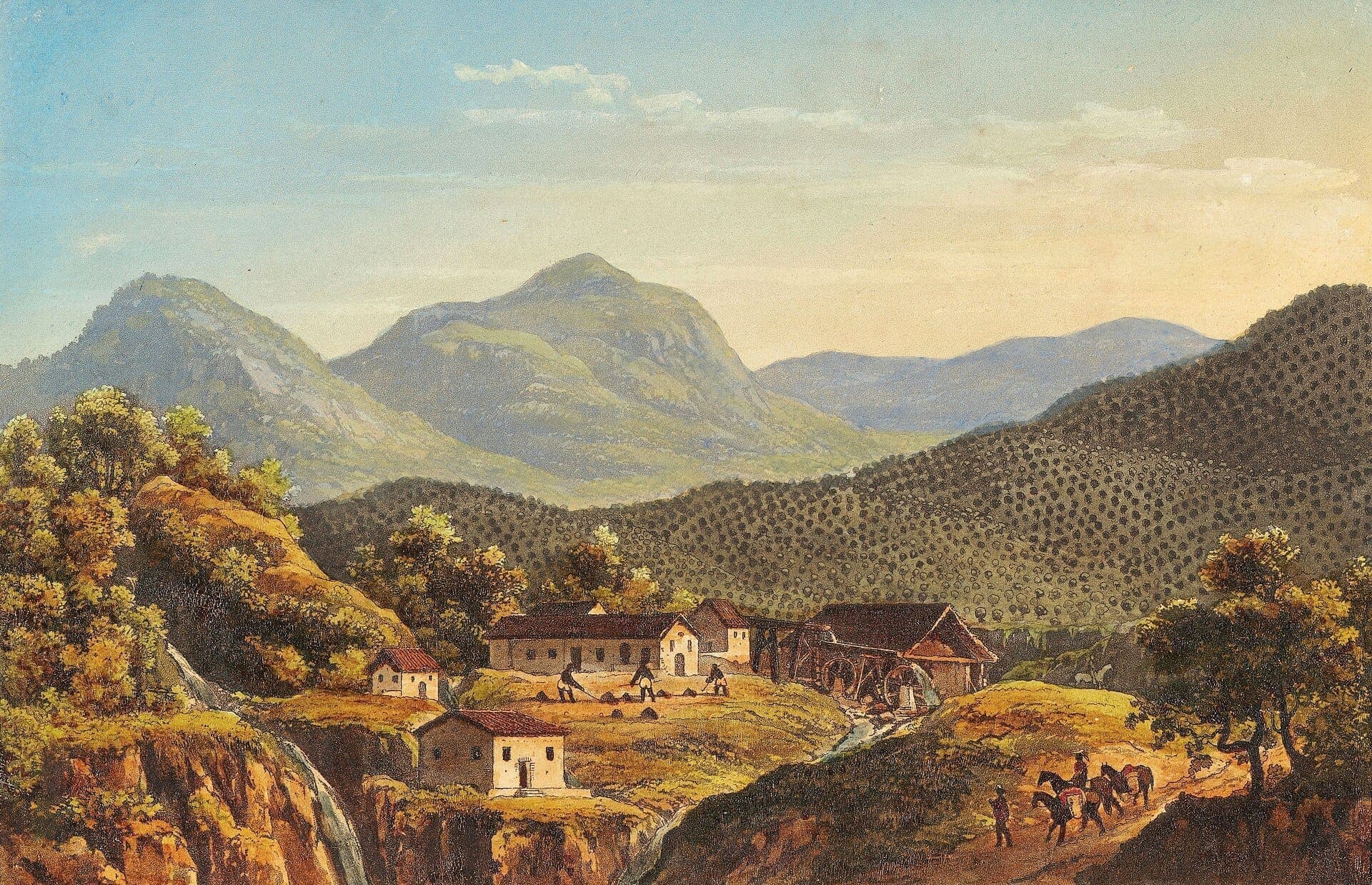 Plantação de café, c. 1839 · Friedrich Salathé / After Johann Jacob Steinmann · circa 1839
