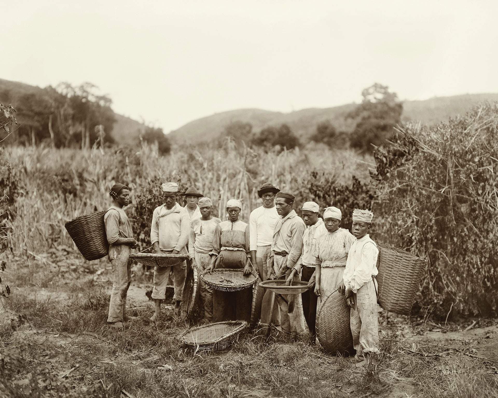 Trabalho no cafezal, c. 1882 · Marc Ferrez · c.1882