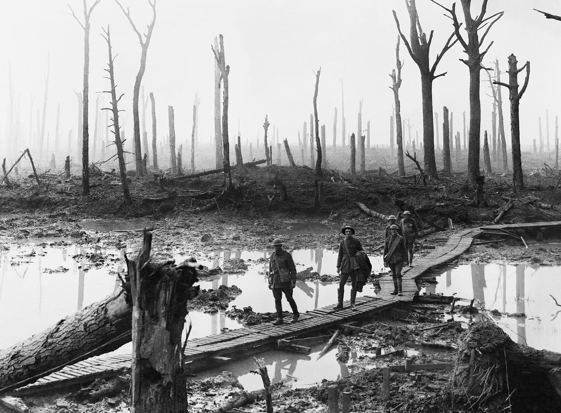 Bosque de Château, perto de Ypres, 29 de outubro de 1917, fotografia de Frank Hurley · Frank Hurley · 1917-10-29